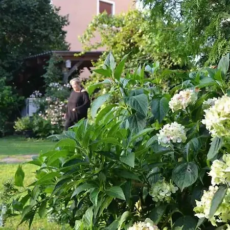 Charmante Altbauwohnung Im Shabby Chic Stil Mit Wintergarten Und Gartenblick - Ihr Perfektes Zuhause In 格拉茨
