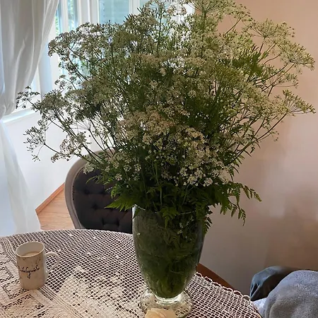Charmante Altbauwohnung Im Shabby Chic Stil Mit Wintergarten Und Gartenblick - Ihr Perfektes Zuhause In *